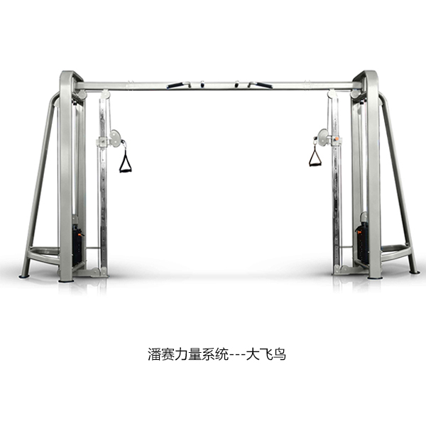 大飛鳥龍門架 600